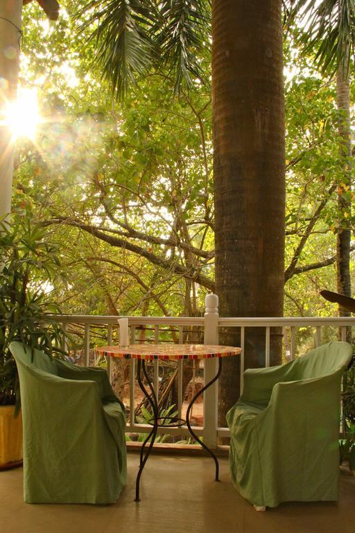 Michele's Garden Anjuna