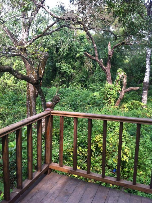 Michele's Garden Anjuna