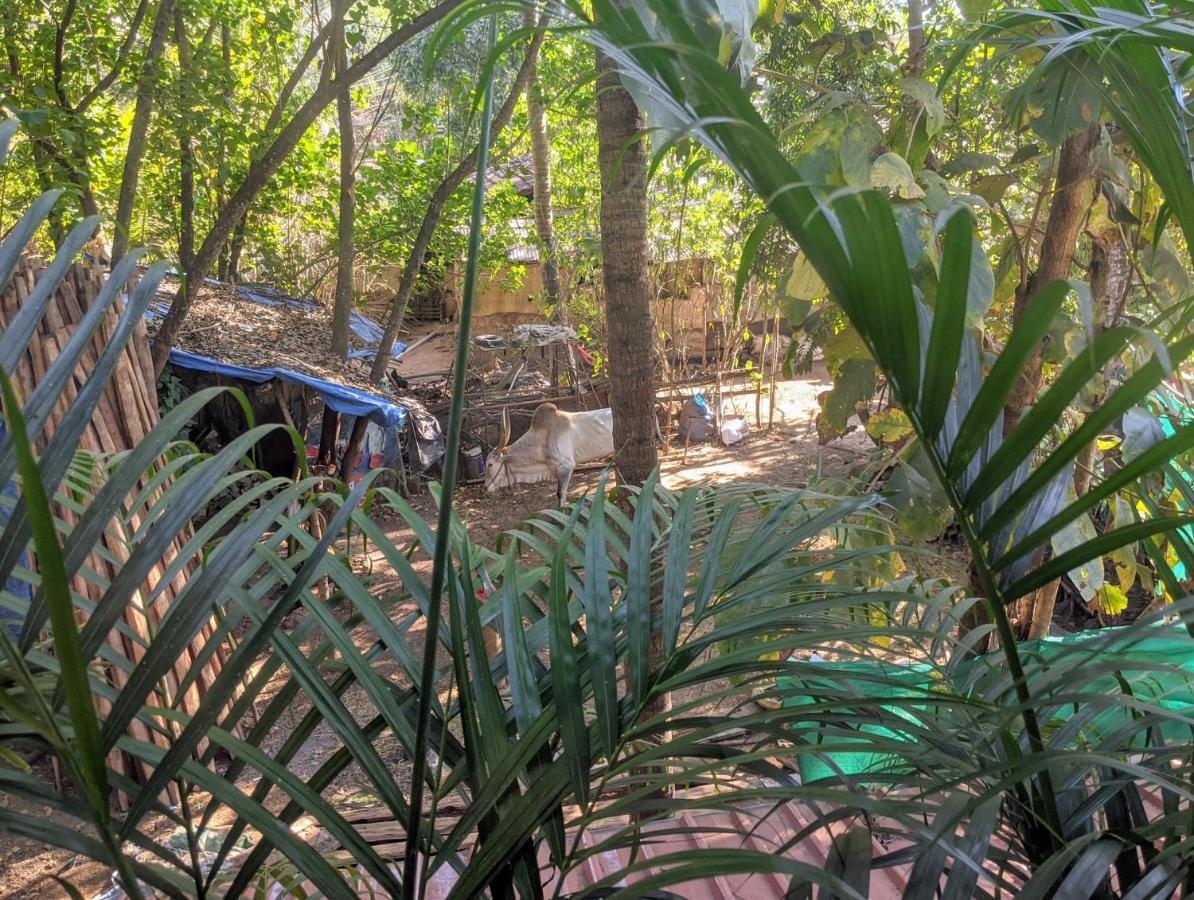 Michele's Garden Anjuna